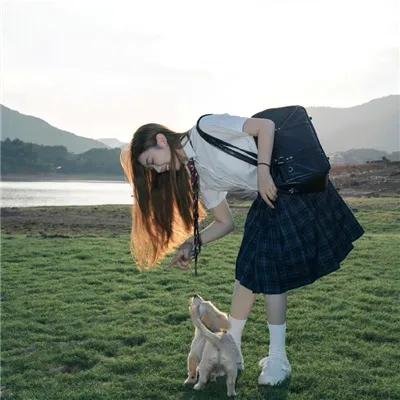 猪太狼的夏天
