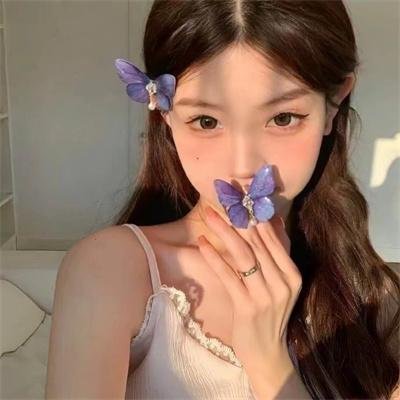飞行堡垒