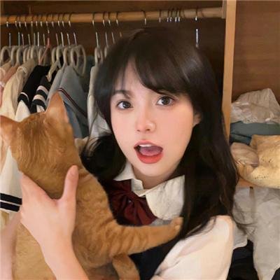 做一只鸟真不容易